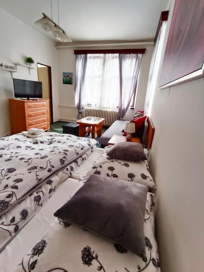 Hotel Labe Грженско Екстер'єр фото